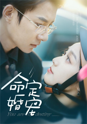 命定婚宠（61集）热门短剧在线看
