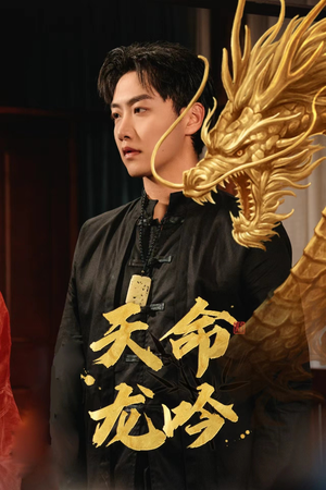 天命龙吟（48集）免费在线看