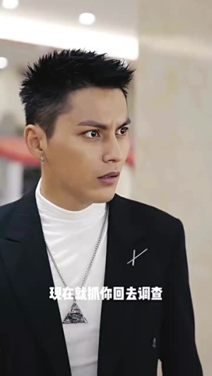 龙城飞将（85集）精彩短剧后续