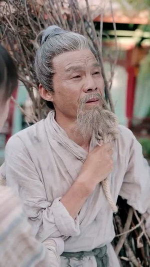 钦差驾到（54集）好看的短剧电影