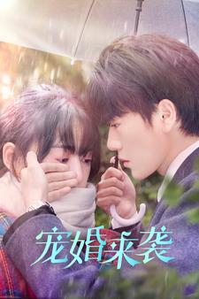 宠婚来袭（102集）爱上了这部剧了
