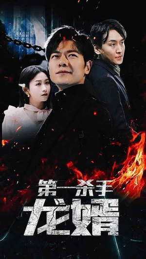 第一杀手龙婿（100集）火爆短剧推荐
