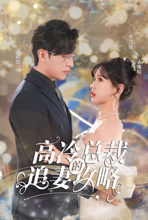 高冷总裁的追妻攻略（65集）哪个网站可以看