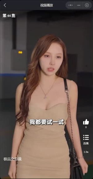 我的富豪美女总裁（我的极品女总裁）短剧精彩推荐