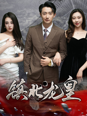 镇北龙帅（97集）精彩短剧后续