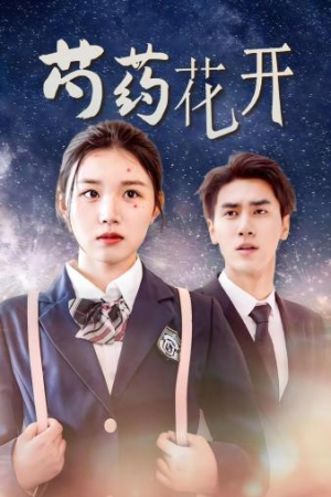 火光中的芍药花（77集）全集完整版