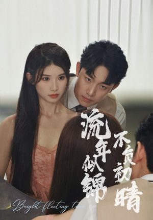 流年似锦不负初晴（36集）经典老剧免费看
