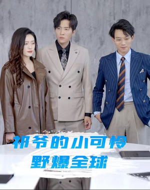 祁爷的小可怜野爆全球（81集）免费看
