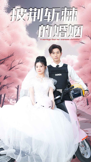 新版：披荆斩棘的婚姻（90集）网盘在线观看