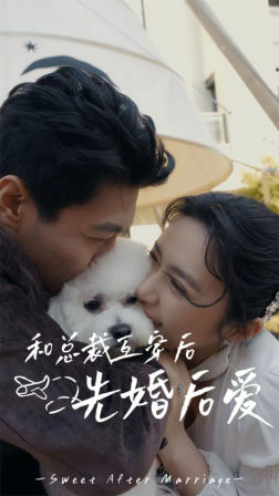 和总裁互穿后先婚后爱（60集）短剧在线观看