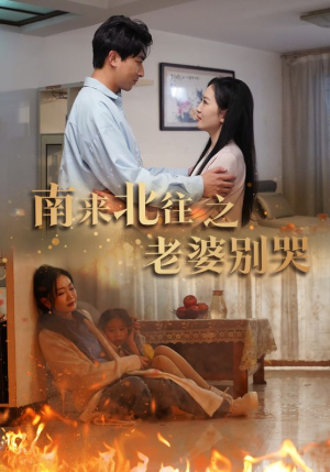 南来北往之老婆别哭（87集）短剧热门合集
