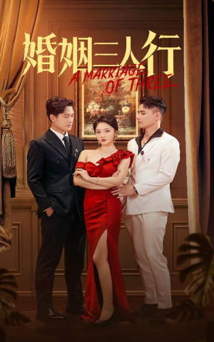婚姻三人行（31集）热门短剧大全