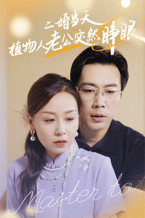 二婚当天植物人老公突然睁眼（40集）UC网盘在线看