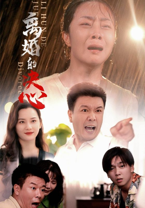 离婚的决心（48集）1-102集