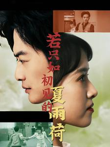 若只如初见的夏雨荷（90集）一口气追完短剧
