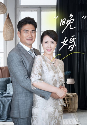 晚婚（65集）演员表