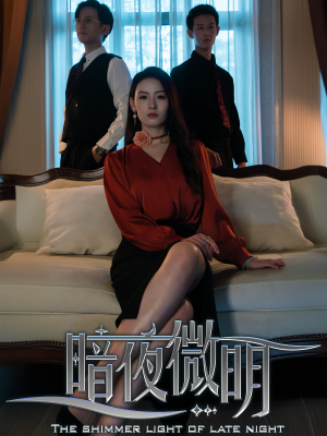 暗夜微明（70集）在哪里可以看