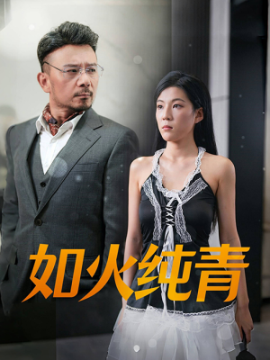 如火纯青（45集）免费在线看全集
