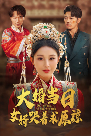大婚当日，女婿哭着求原谅（31集）热门短剧免费看