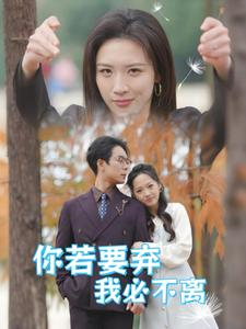 绝望主妇怒点天灯（30集）最后一集