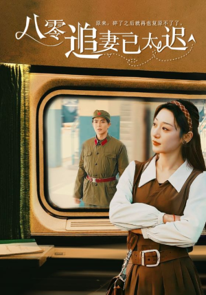 八零追妻已太迟（50集）高清画质免费看