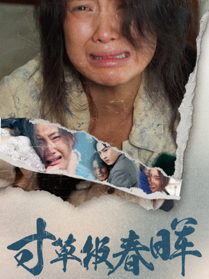 寸草报春晖（65集）在哪个app能看