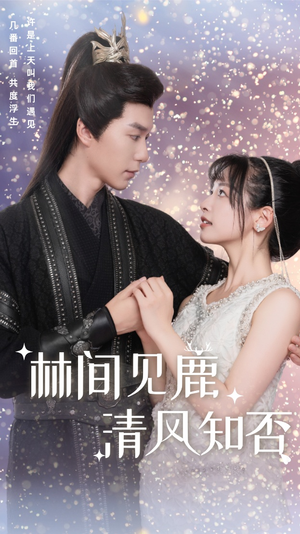 林间见鹿清风知否（62集）全部免费看全集