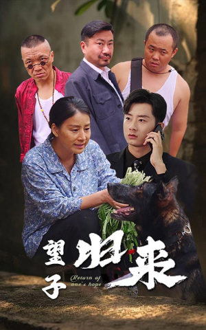 望子归来（50集）追风的女孩短剧