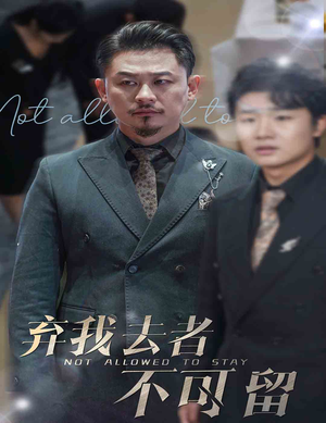 生命它璀璨如歌（60集）免费观看全集