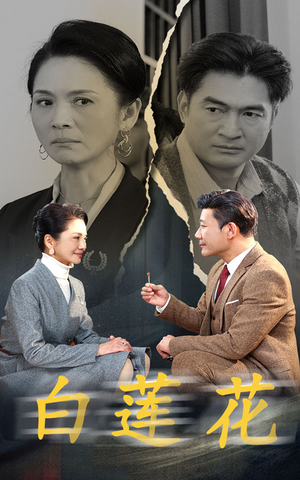 白莲花（40集）全剧免费观看