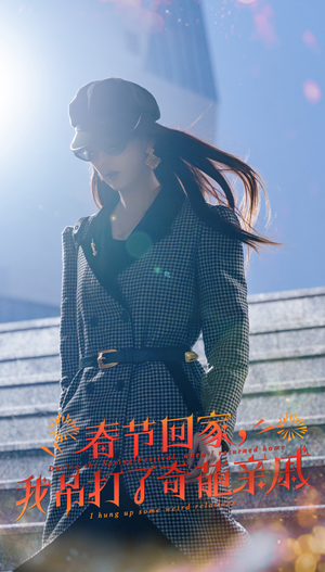 春节回家，我吊打了奇葩亲戚（30集）全集下载