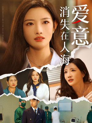 爱意消失在人海（60集）短剧介绍