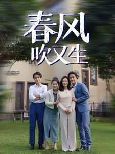 春风吹又生（56集）免费在线看全集