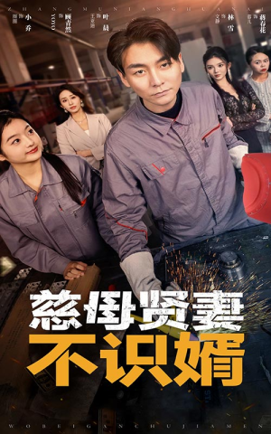 慈母贤妻不识婿（45集）热门短剧排行榜