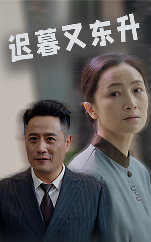 迟暮又东升（35集）热播短剧免费看
