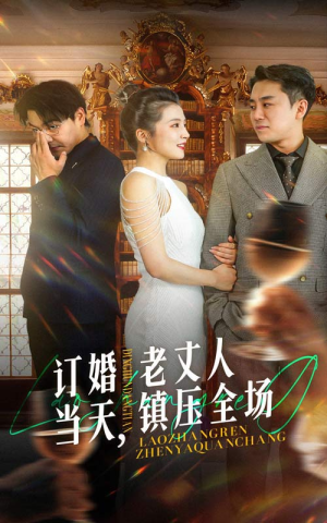 订婚当天，老丈人镇压全场（29集）短剧排行榜