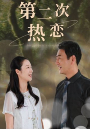 第二次热恋（48集）精彩短剧又来了