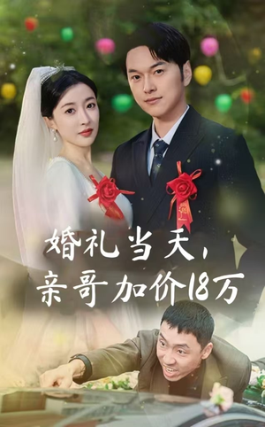 婚礼当天，亲哥加价18万（36集）百度网盘资源
