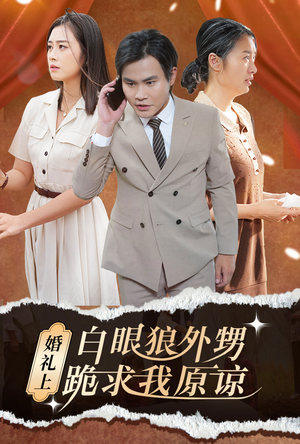 婚礼上白眼狼外甥跪求我原谅（35集）在哪里看
