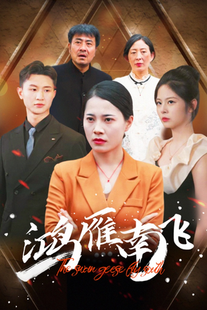鸿雁南飞（64集）80到100集