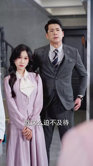 婚姻审判（30集）视频在线看