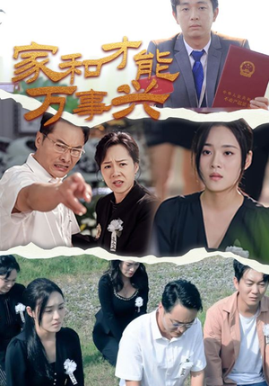 家和才能万事兴（30集）一口气看完全集
