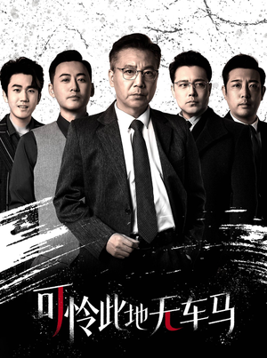 可怜此地无车马（30集）最火短剧热播