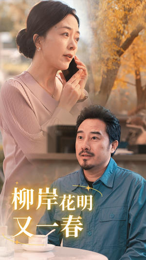 柳暗花明又一春（40集）解说