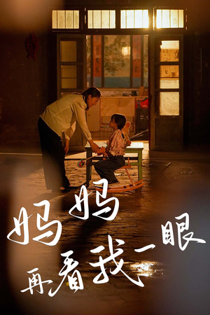 妈妈再看我一眼（32集）在线免费观看