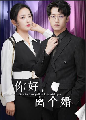 你好，离个婚（30集）在线观看完整版