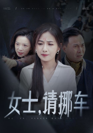 善门难开（29集）番茄短剧看全集