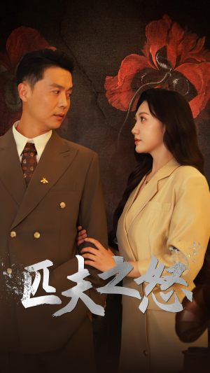 匹夫之怒（48集）短剧全集大结局