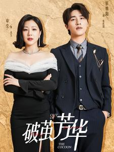 破茧芳华（80集）无需充值尽情看