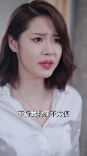 妻子的秘密（30集）精彩热门短剧
